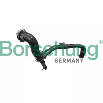 Gaine de suralimentation Borsehung B12352