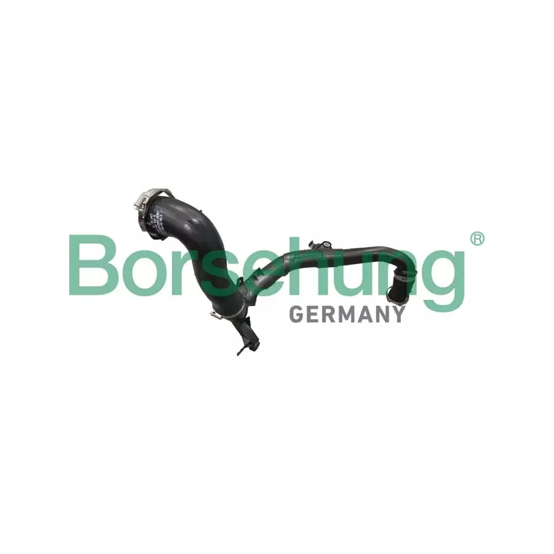 Gaine de suralimentation Borsehung B12352