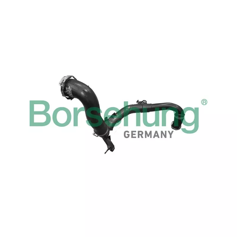 Gaine de suralimentation Borsehung B12353