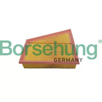 Filtre à air Borsehung B12359