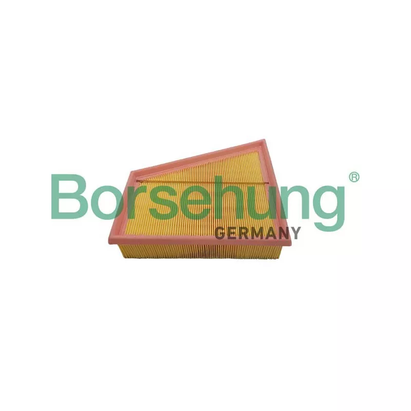Filtre à air Borsehung B12359