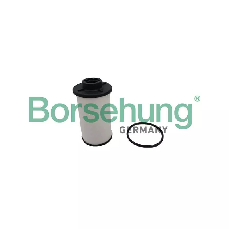 Filtre à huile Borsehung B12360