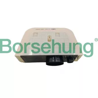 Filtre à air Borsehung B12363