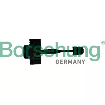 Cale-porte Borsehung B12369