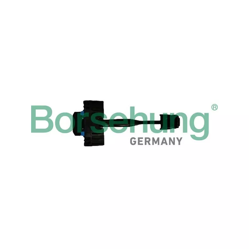 Cale-porte Borsehung B12369