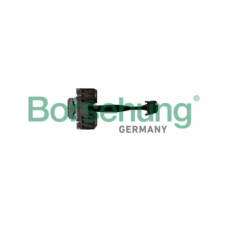 Cale-porte Borsehung B12370