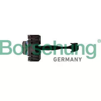 Cale-porte Borsehung
