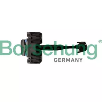 Cale-porte Borsehung B12373