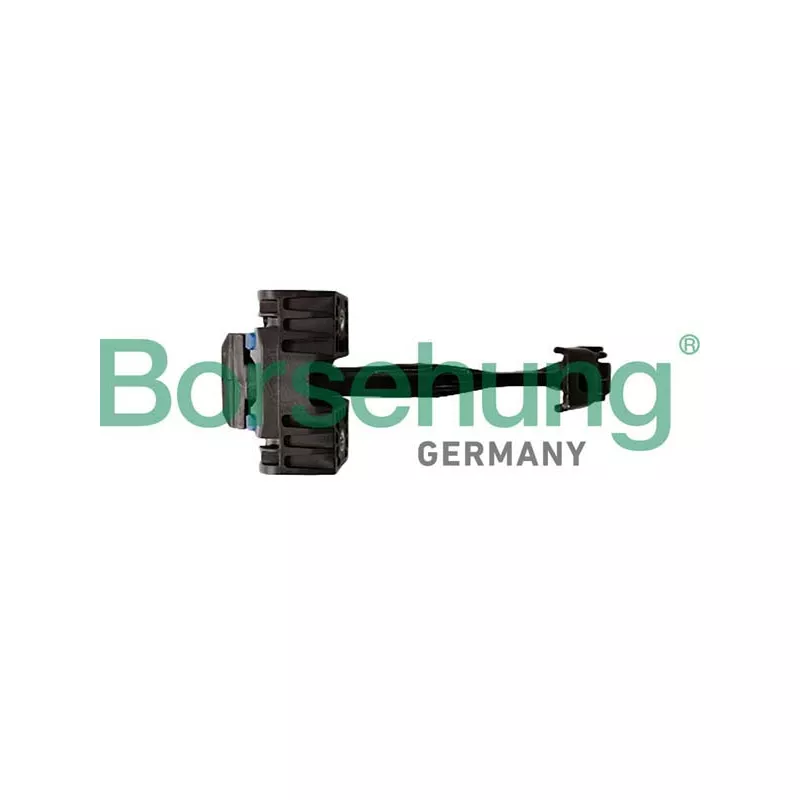 Cale-porte Borsehung B12373