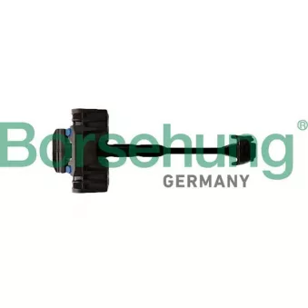 Cale-porte Borsehung B12376