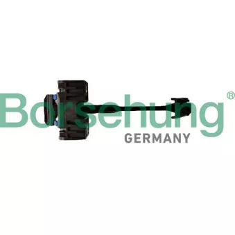 Cale-porte Borsehung B12377