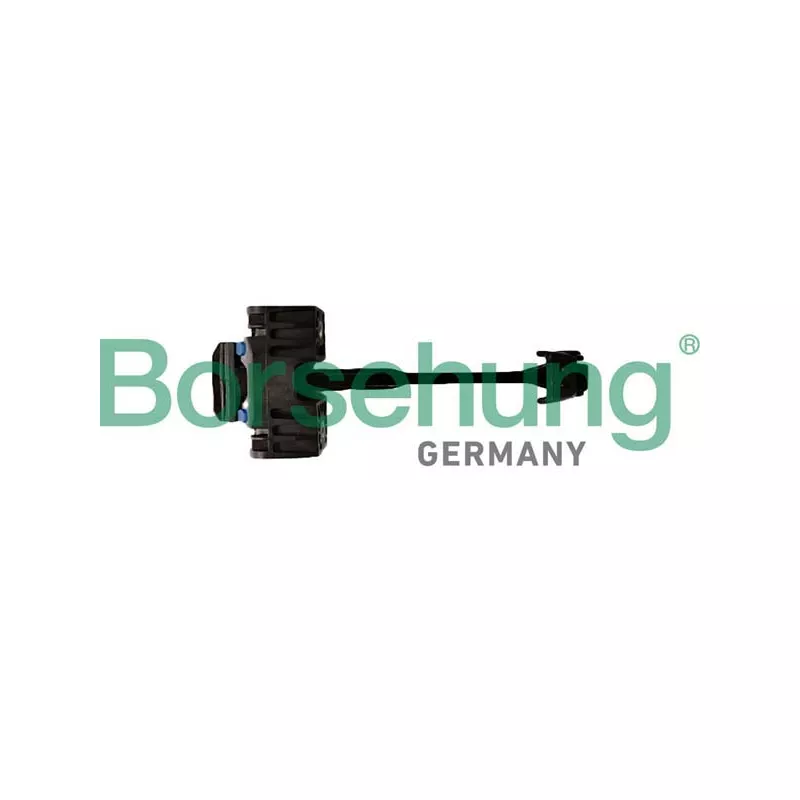Cale-porte Borsehung B12377