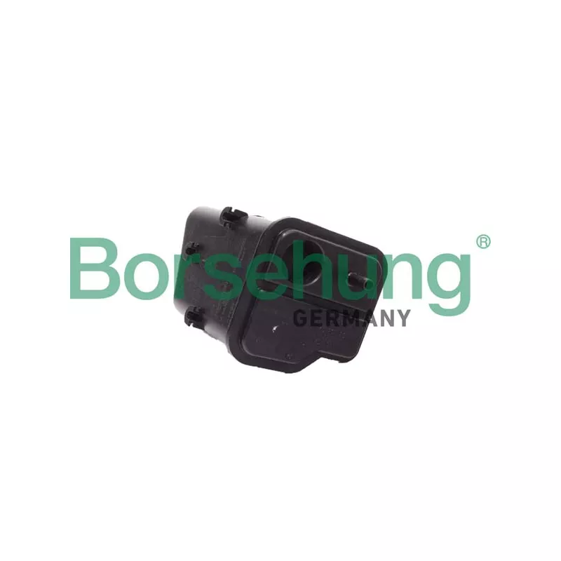 Filtre à charbon actif, ventilation du réservoir Borsehung B12394