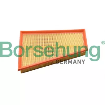 Filtre à air Borsehung B12397