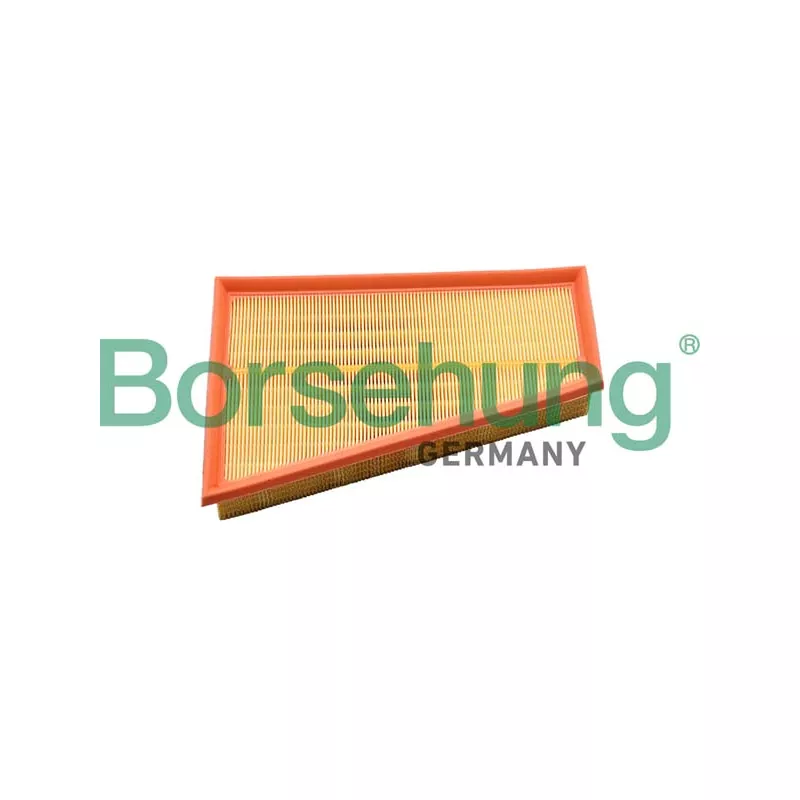 Filtre à air Borsehung B12397