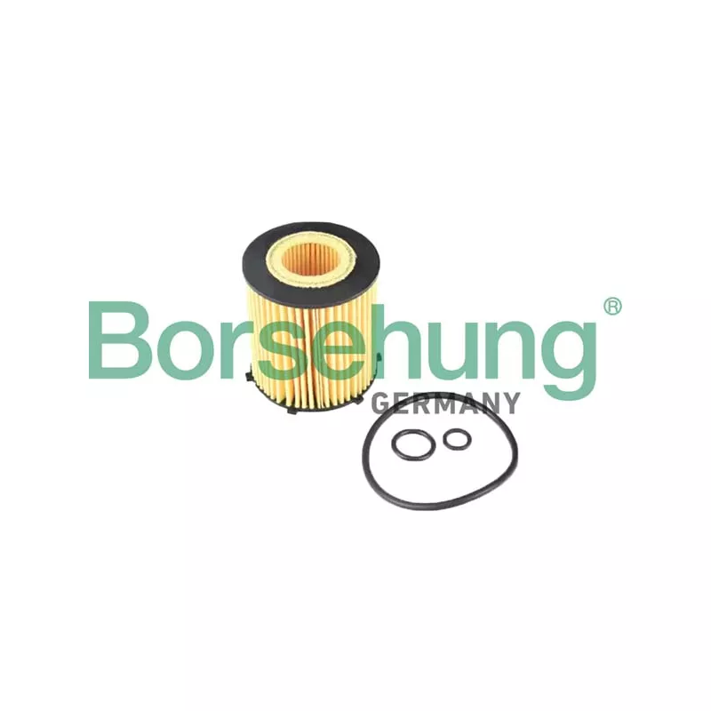 Filtre à huile Borsehung B12405