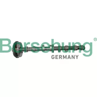 Arbre à came Borsehung B12413
