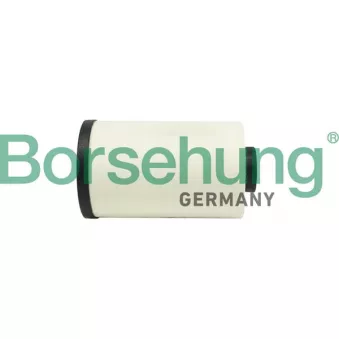 Filtre à huile Borsehung B12417