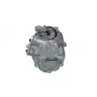 Compresseur, climatisation BV PSH 090.105.014.876 - Visuel 3