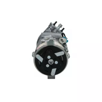 Compresseur, climatisation BV PSH 090.135.026.876