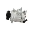 Compresseur, climatisation BV PSH 090.205.009.876 - Visuel 2
