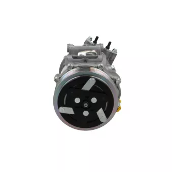 Compresseur, climatisation BV PSH 090.225.009.876