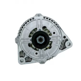 Alternateur BV PSH 135.510.100.019
