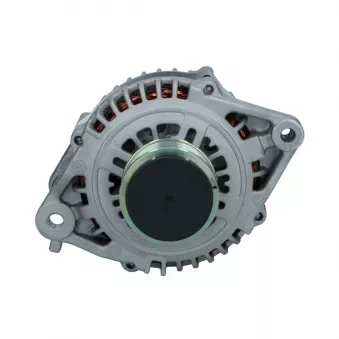 Alternateur BV PSH 165.995.090.271