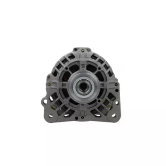 Alternateur BV PSH 305.518.070.505