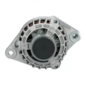 Alternateur BV PSH 135.546.130.058