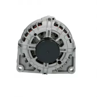 Alternateur BV PSH 135.563.140.008