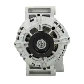 Alternateur BV PSH 135.595.120.500