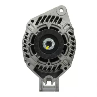Alternateur BV PSH 225.506.080.505
