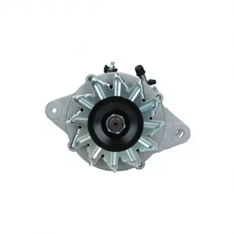 Alternateur BV PSH 255.801.060.008