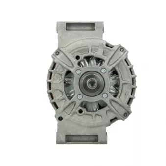 Alternateur BV PSH 815.520.180.210