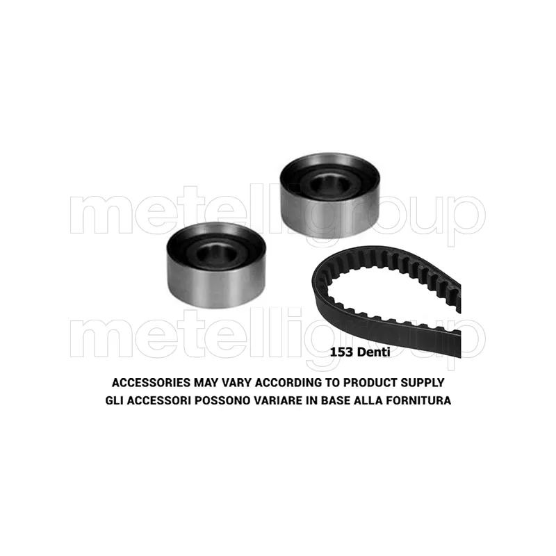 Kit de distribution METELLI 29-0231