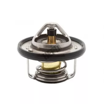 Thermostat, liquide de refroidissement HEPU TM1423
