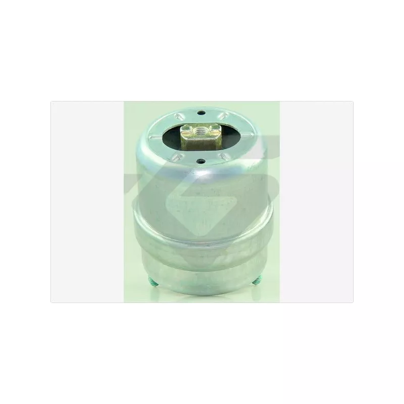 Support moteur HUTCHINSON 594674