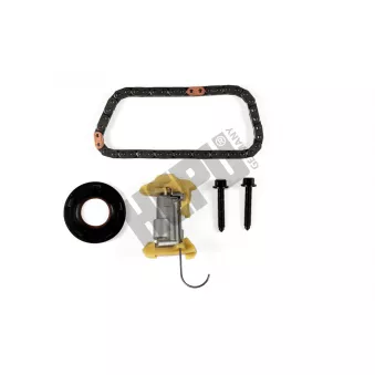 Kit de distribution par chaîne HEPU 21-0695