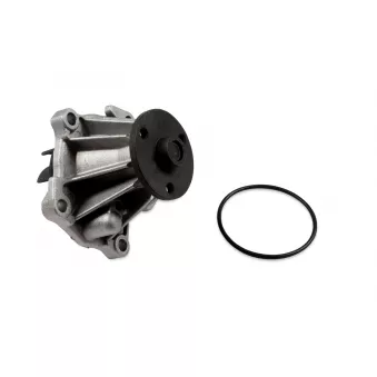Pompe à eau HEPU P226