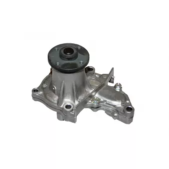 Pompe à eau HEPU P762