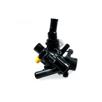 Thermostat d'eau HEPU TM1397