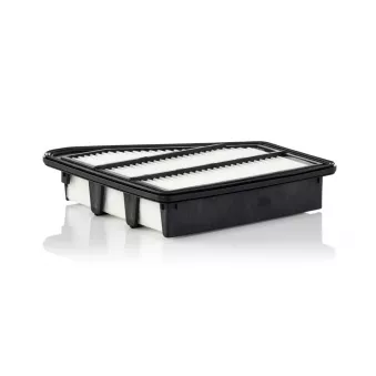Filtre à air MANN-FILTER C 24 075