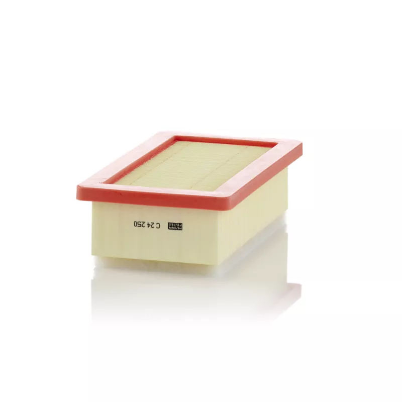 Filtre à air MANN-FILTER C 24 250