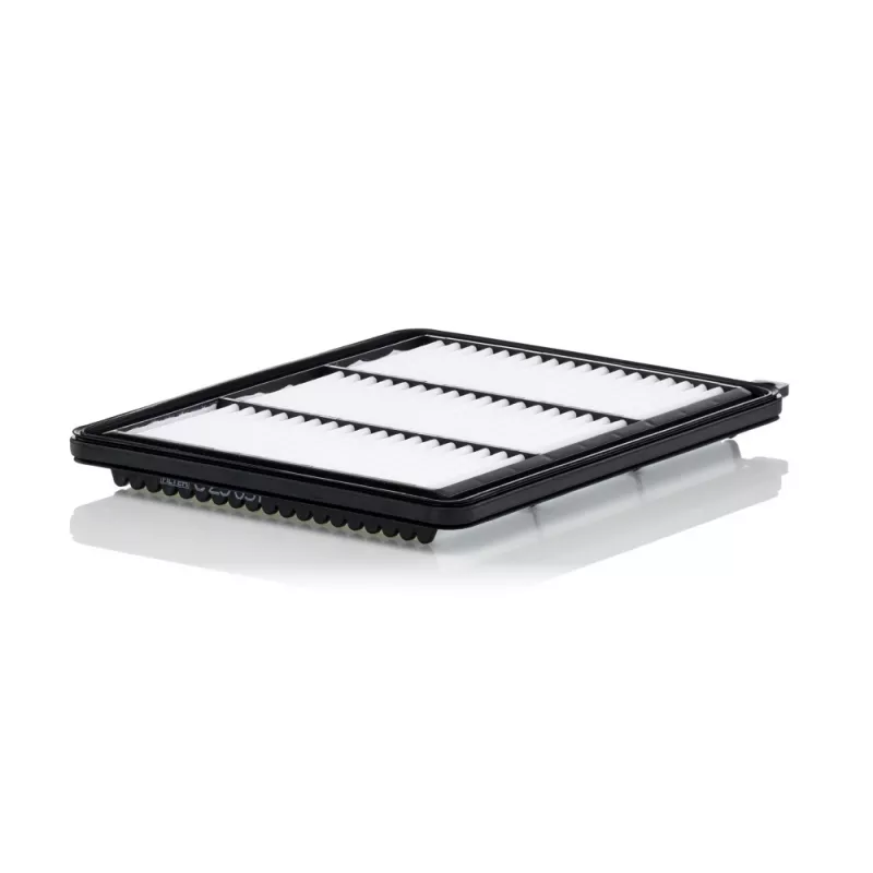 Filtre à air MANN-FILTER C 25 051
