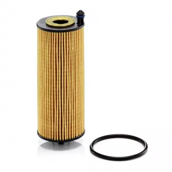 Filtre à huile MANN-FILTER HU 6032 z