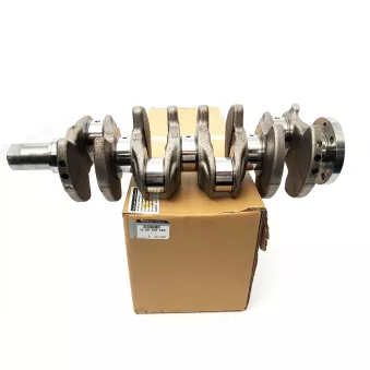 vilebrequin OE 122012273R