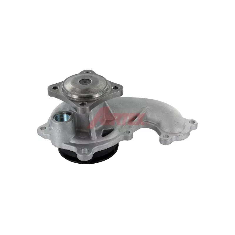 Pompe à eau AIRTEX 1619