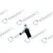 Injecteur REMANTE 002-003-000006R - Visuel 2