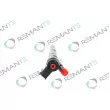 Injecteur REMANTE 002-003-000025R - Visuel 2